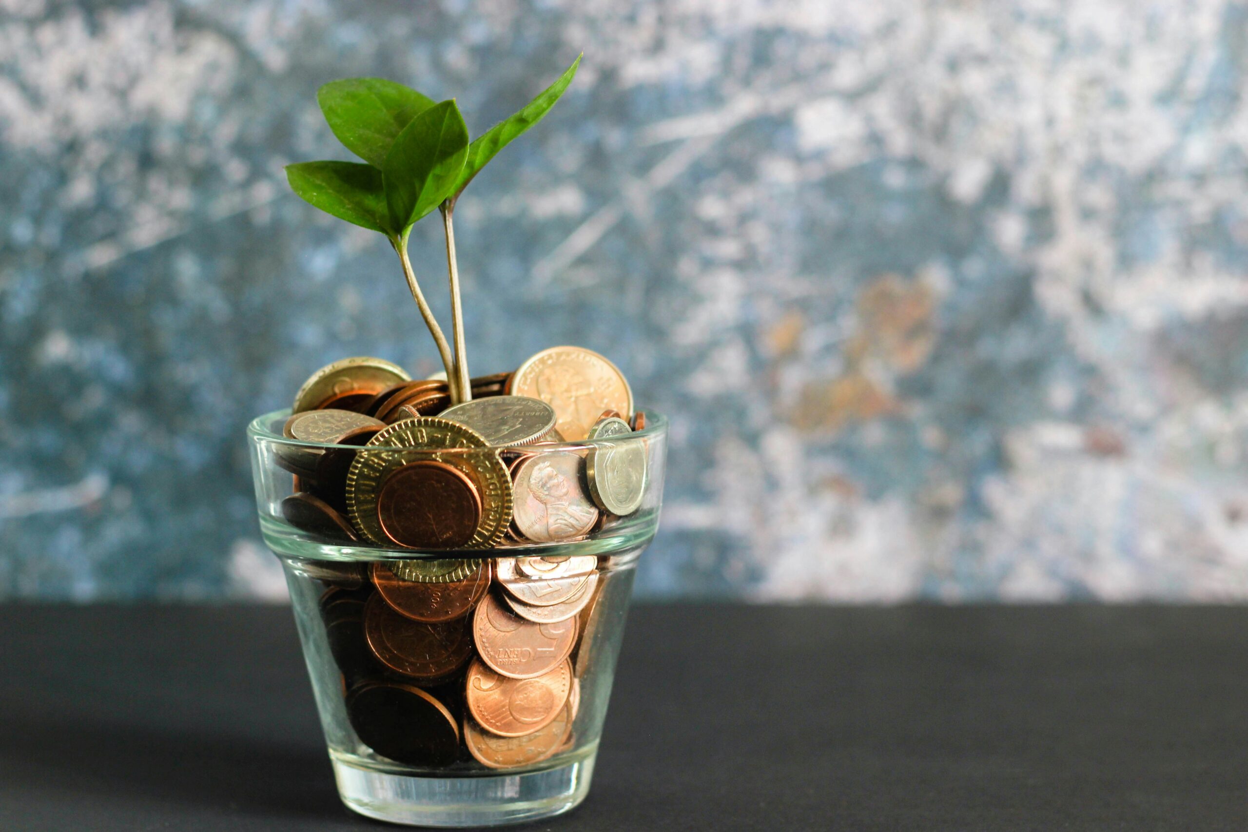 Want to Know How to Save $10000 in 6 Months? I’ve Got the Secrets